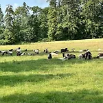 Ferienhaus De France - Le Du Moulin