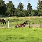 De France - Le Du Moulin Ferienhaus