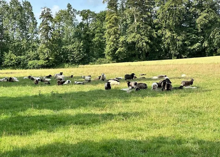 Casa vacanze Gite Gites De France - Le Gite Du Moulin