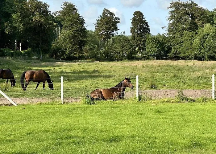 Gite Gites De France - Le Gite Du Moulin Casa vacanze
